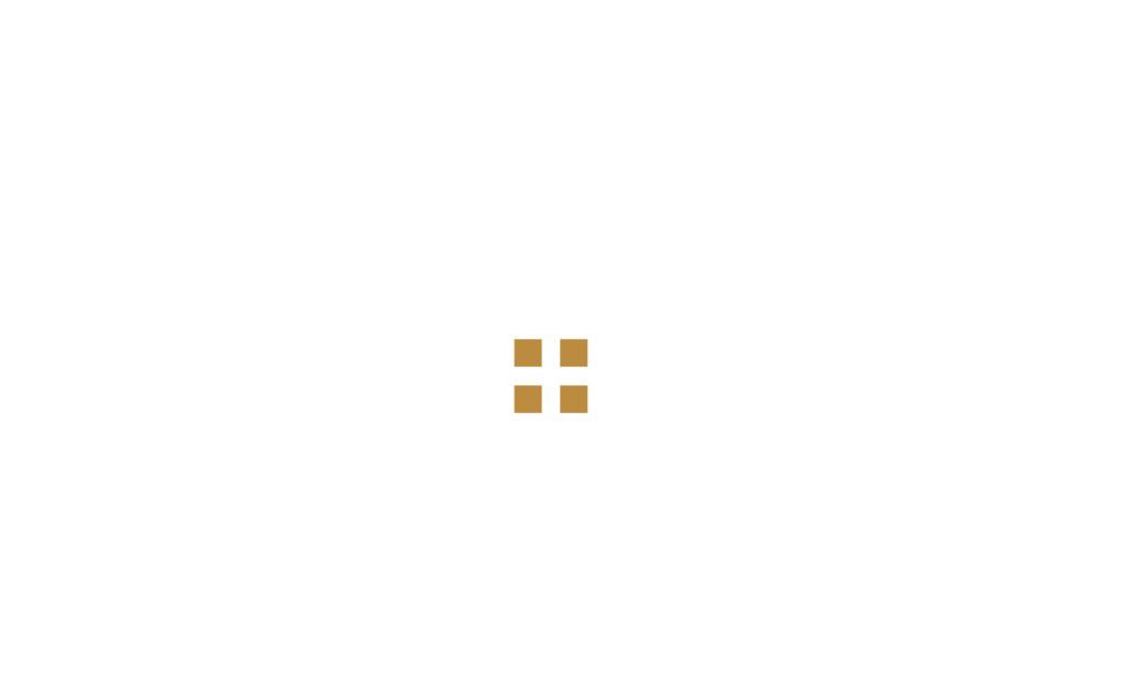 קבוצת רפאל